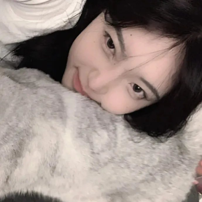 烈血焚城 在线观看